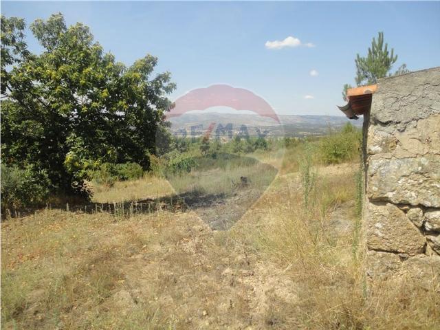 Quinta venda em Guarda, Celorico Da Beira