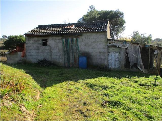 Quinta venda em Castelo Branco, Aldeia Nova Do Cabo