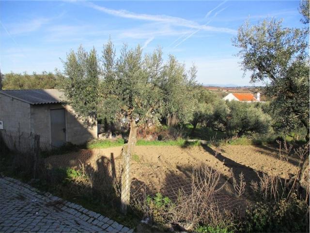 Quinta venda em Castelo Branco, Aldeia Nova Do Cabo