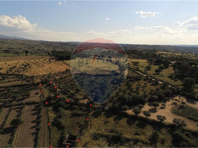 Quinta venda em Guarda, São Julião