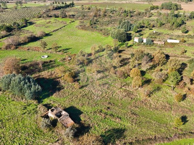 Quinta venda em Guarda, São Julião