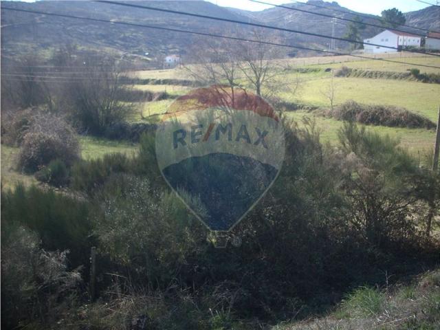 Quinta venda em Guarda