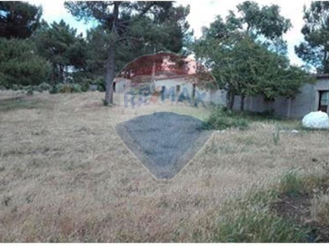 Quinta venda em Guarda