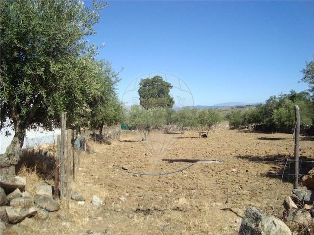 Quinta venda em Castelo Branco, Idanha-a-nova