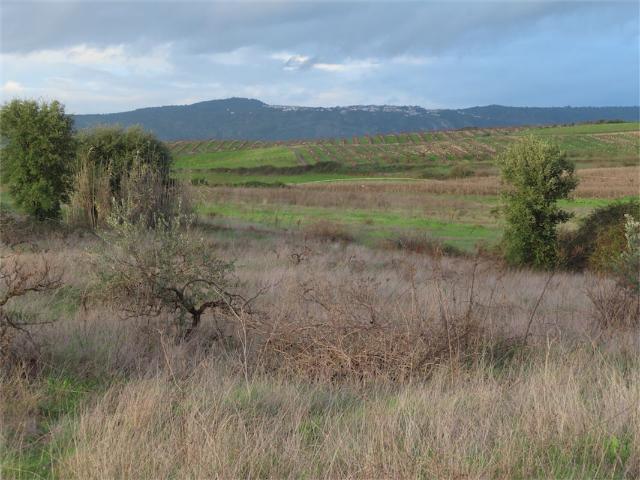 Quinta venda em Castelo Branco, Idanha-a-nova