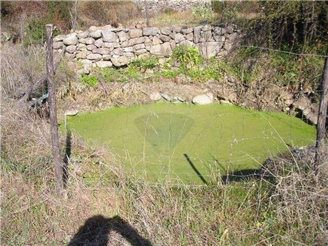 Quinta venda em Castelo Branco, Idanha-a-nova