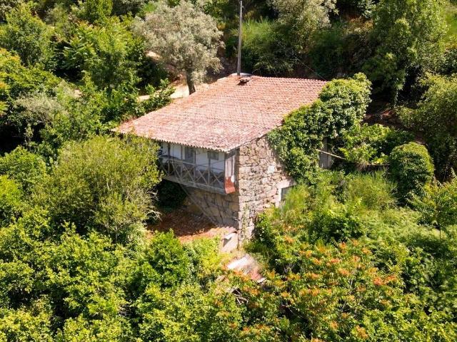 Quinta venda em Lamego, Viseu