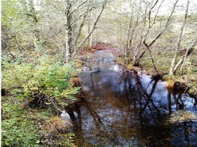 Quinta venda em Castelo Branco, Oleiros