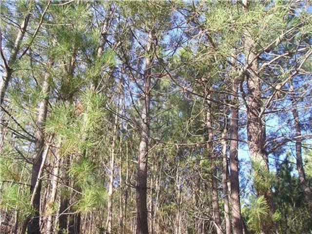 Quinta venda em Castelo Branco, Oleiros