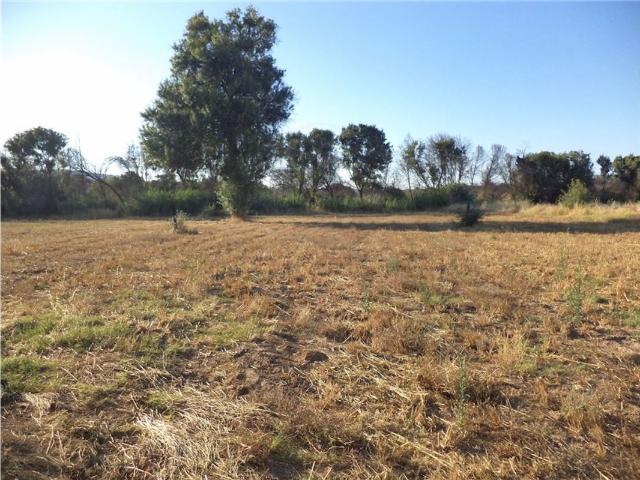 Quinta venda em Castelo Branco, Penamacor