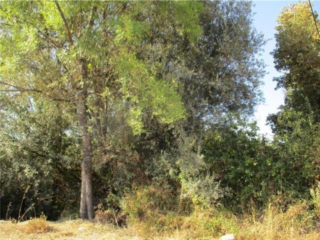 Quinta venda em Castelo Branco, Penamacor