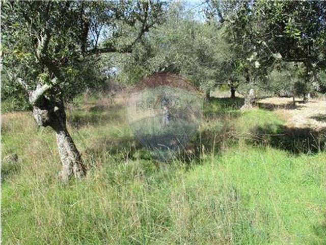 Quinta venda em Castelo Branco, Penamacor