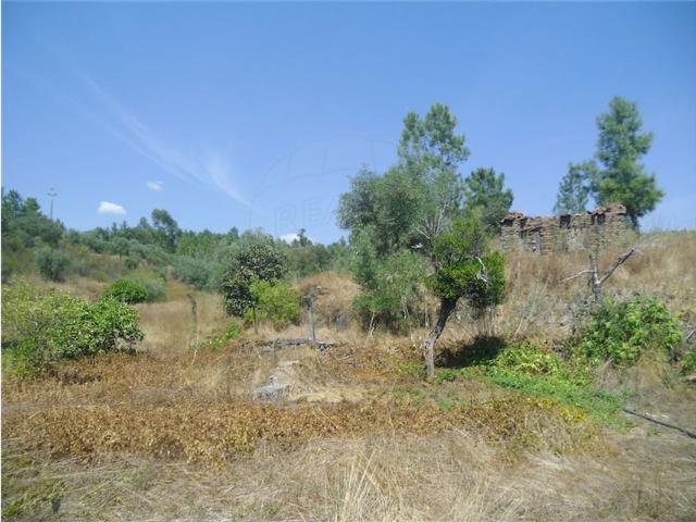 Quinta venda em Castelo Branco, Proença-a-nova