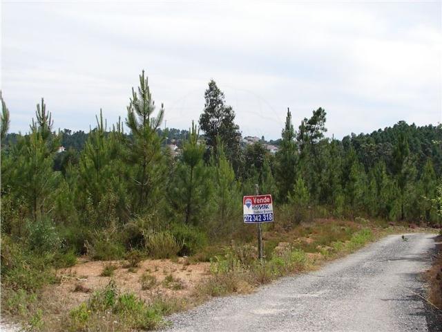 Quinta venda em Castelo Branco, Proença-a-nova