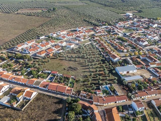 Quinta venda em Portalegre, Casa Branca