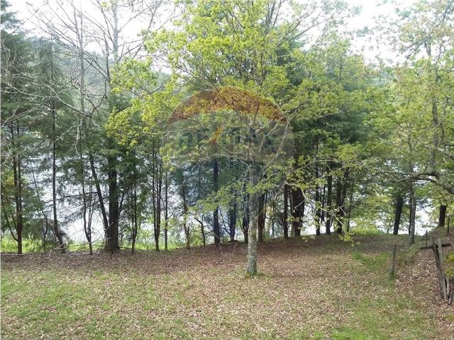 Quinta venda em Vale de Taipa, Tábua