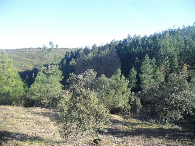 Terreno venda em Castelo Branco, Vila Velha De Ródão