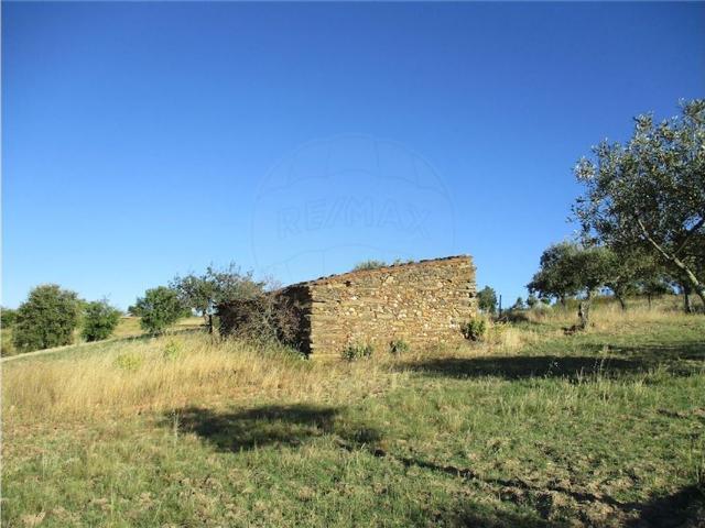 Quinta venda em Castelo Branco, Vila Velha De Ródão