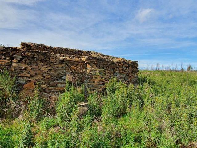 Quinta venda em Castelo Branco