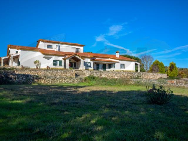 Quinta venda em Abrantes, Santarém