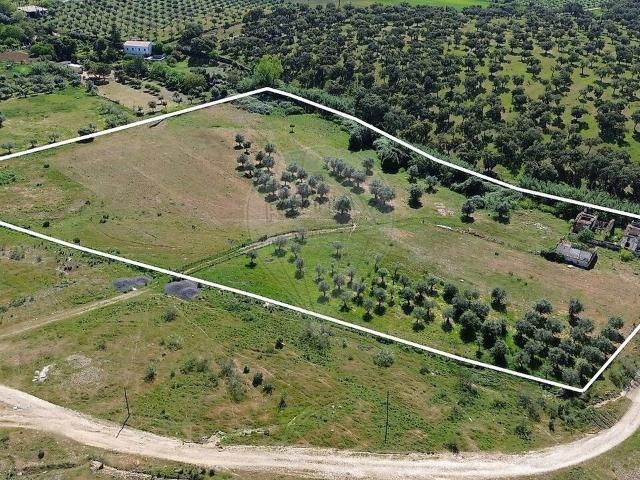 Quinta venda em Vila Boim, Elvas