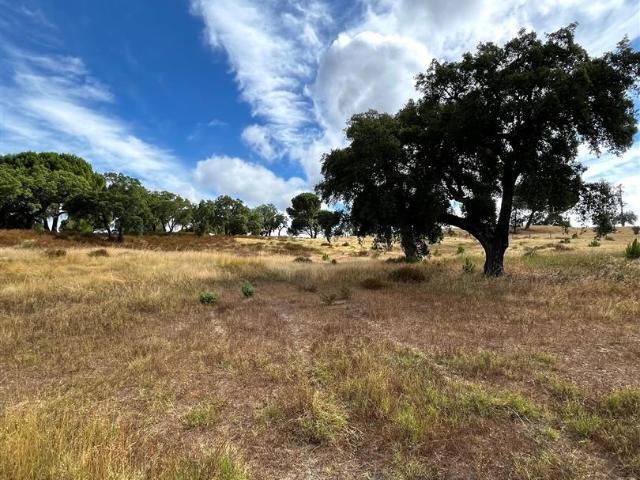 Vivenda venda em Montemor-o-novo, Évora