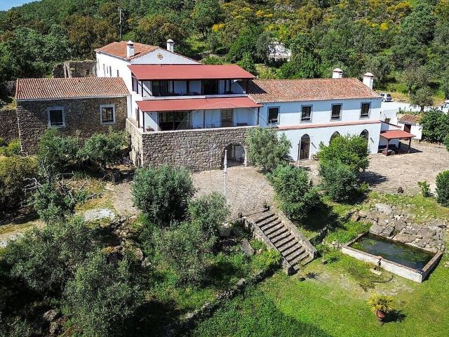 Quinta venda em Ribeira de Nisa e Carreiras, Portalegre