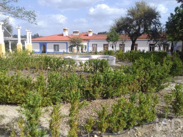 Quinta venda em Almeirim, Santarém
