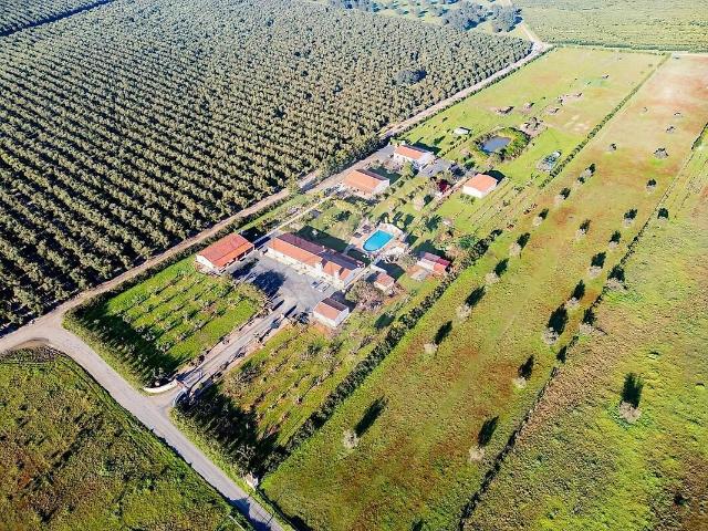 Quinta venda em Ferreira do Alentejo
