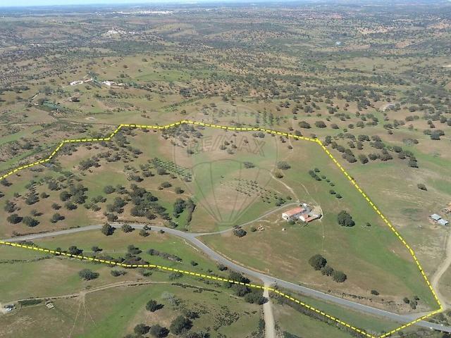 Quinta venda em Almodôvar, Beja