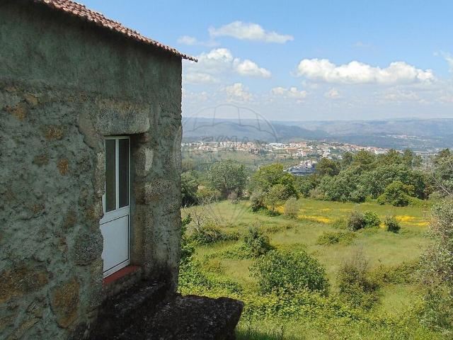 Quinta venda em Celorico (São Pedro e Santa Maria) e Vila Boa do Mondego, Celorico da Beira