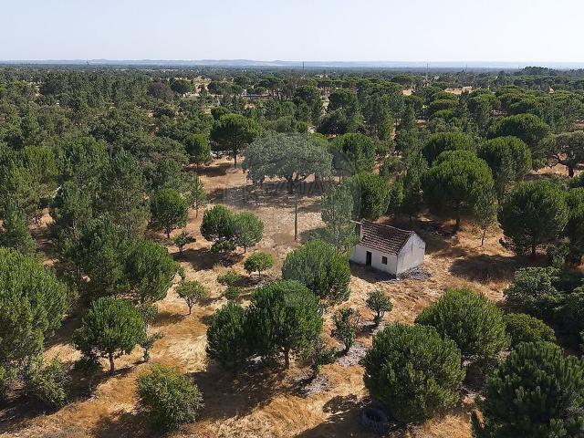 Quinta venda em Bairro das Amoreiras, Grândola