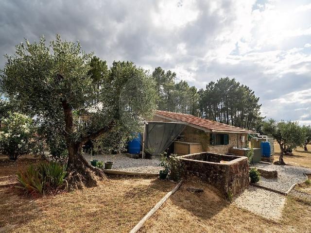 Quinta venda em Lardosa, Castelo Branco