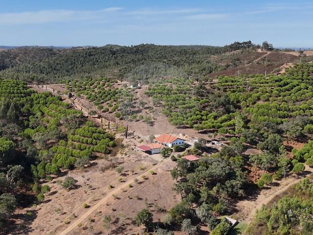 Quinta venda em Vale de Feixe, Odemira