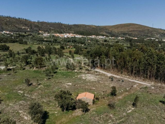 Quinta venda em Castelo Branco, Aldeia Nova Do Cabo