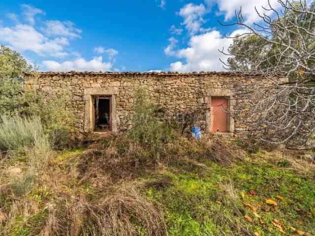 Quinta venda em Castelo Branco, Aldeia Nova Do Cabo