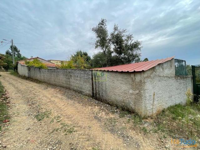 Quinta venda em Fundão