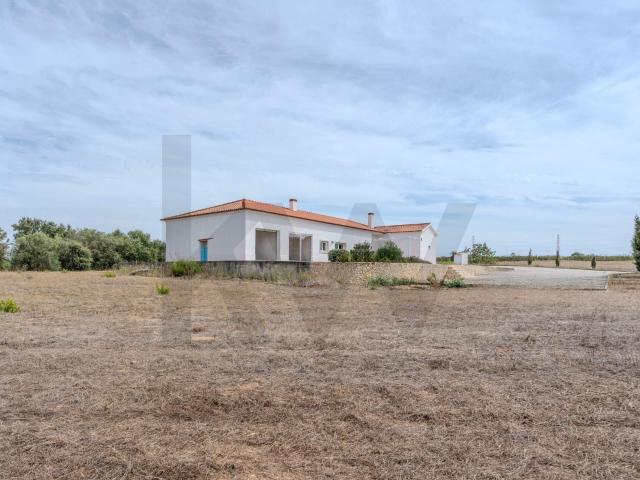 Quinta venda em Palmela, Setúbal