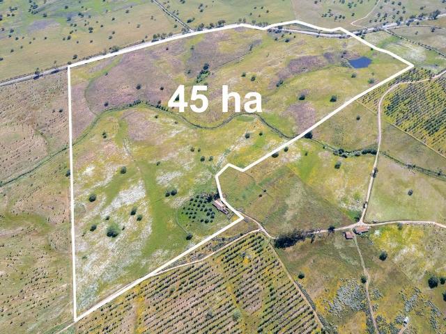 Quinta venda em Almodôvar, Beja