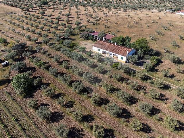 Quinta venda em Amareleja, Moura