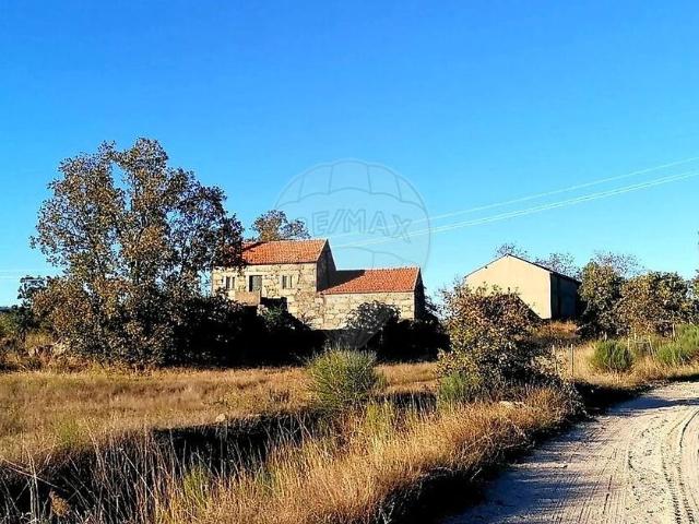 Quinta venda em Belmonte