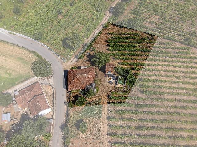 Quinta venda em Canedo de Basto e Corgo, Celorico de Basto