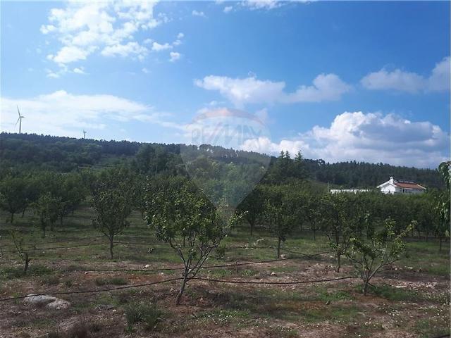 Quinta venda em Pera Velha, Aldeia de Nacomba e Ariz, Moimenta da Beira