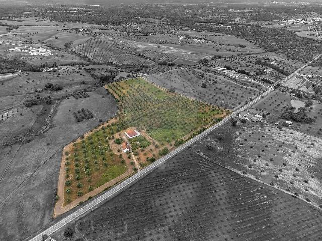 Quinta venda em Foros de Vale de Figueira, Montemor-o-Novo