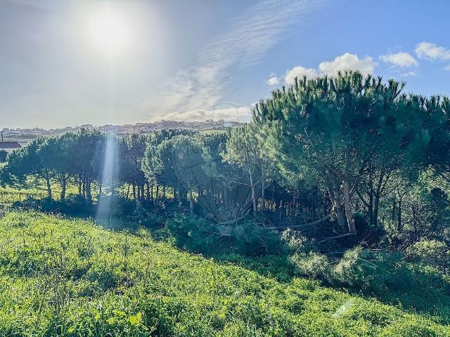 Quinta venda em Mafra, Lisboa