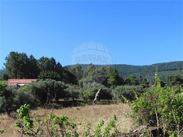 Quinta venda em Castelo Branco, Aldeia Nova Do Cabo