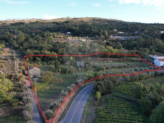 Quinta venda em Gouveia