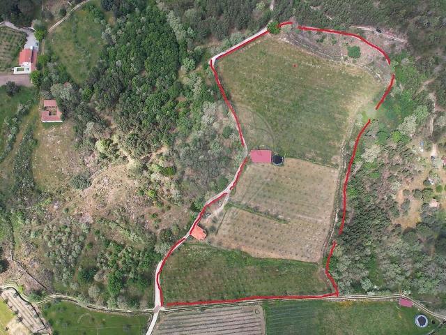 Quinta venda em Mangualde, Mesquitela e Cunha Alta, Mangualde