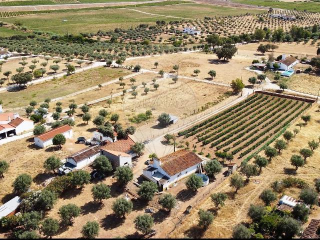 Quinta venda em Évora, Courelas do Vale D'Anta