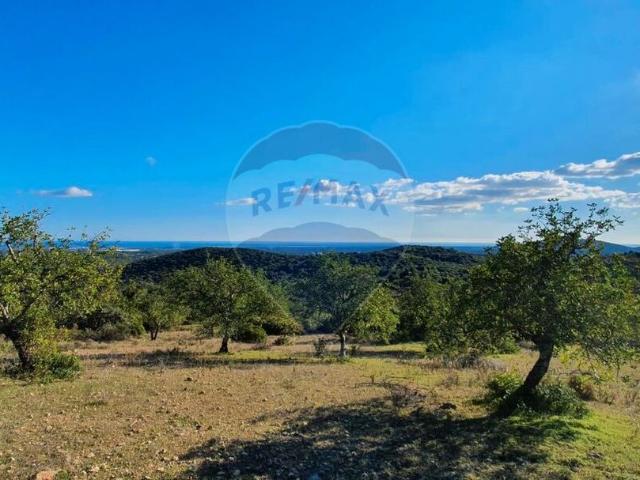 Quinta venda em Santa Catarina da Fonte do Bispo, Tavira